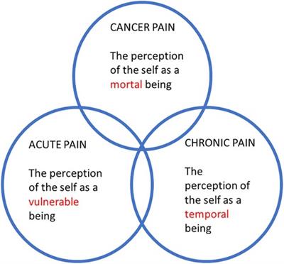 Should cancer pain still be considered a separate category alongside acute pain and chronic non-cancer pain? Reflections on ICD-11